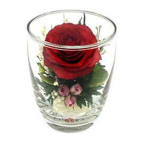 Flowers Natural Red Rose in a Small Black & White Glass Vase 67440